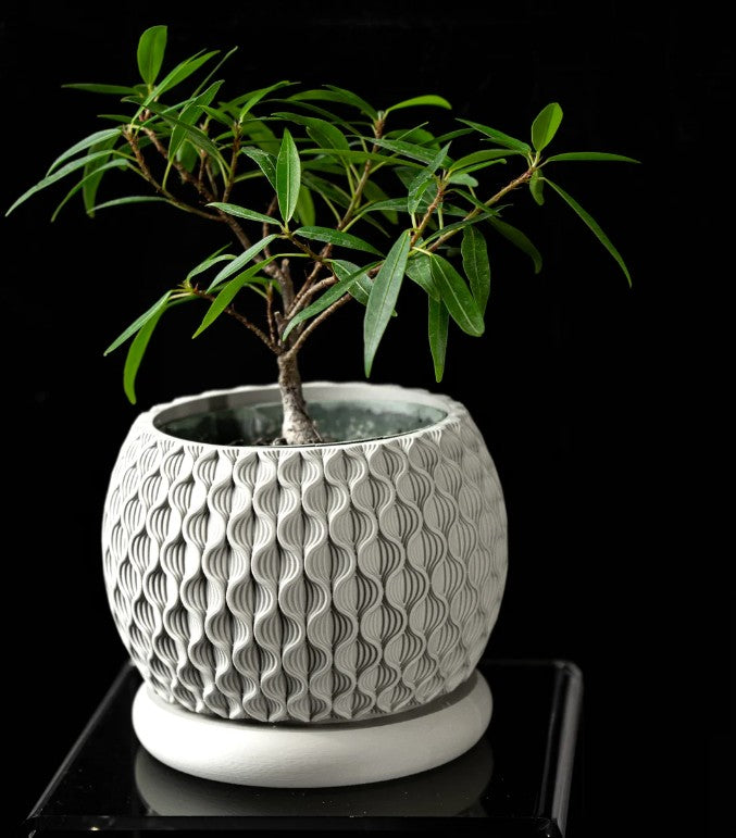 Bloom Planter Pot – A Stylish & Eco-Friendly Home for Your Plants